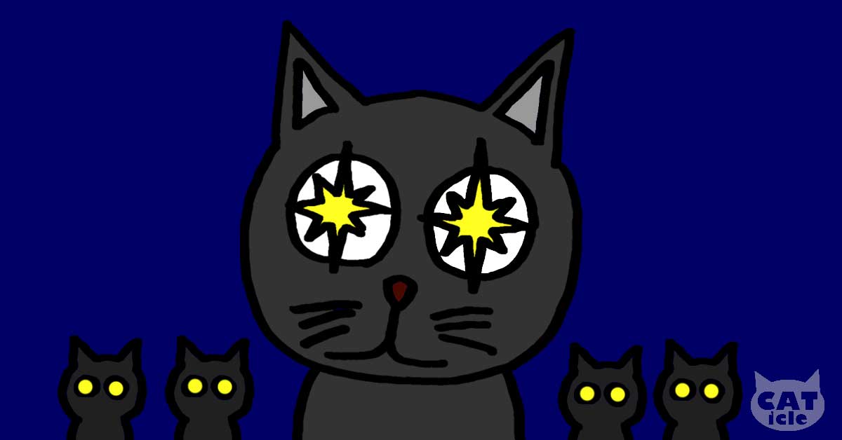 猫の視覚について