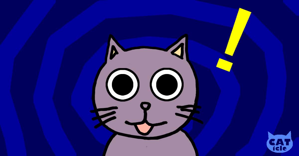 猫の第六感