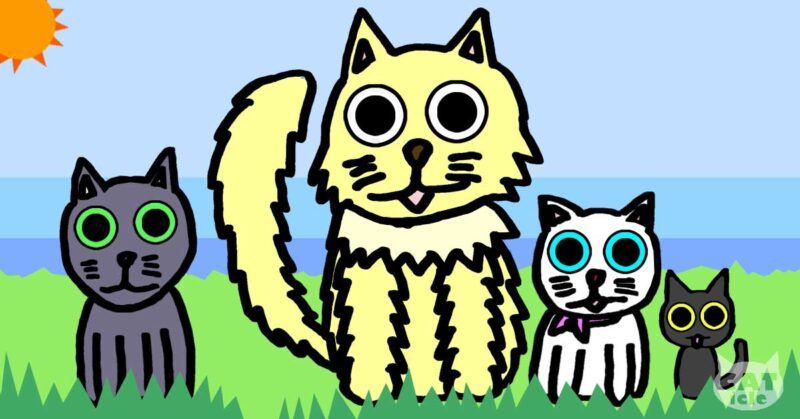 猫のペット保険