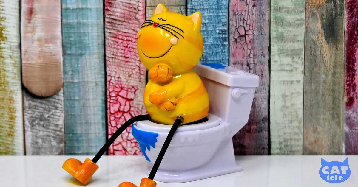 猫のトイレ問題、もう迷わない！ 臭い・掃除・コストを快適にする5つの工夫