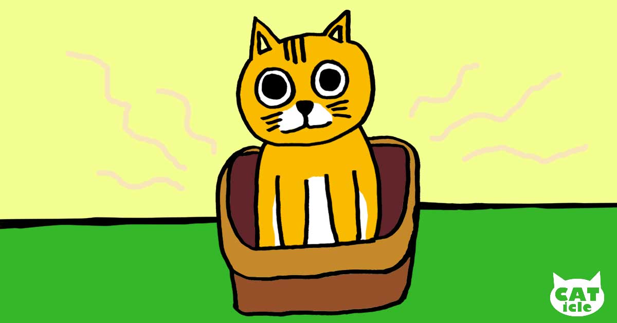 猫のトイレ問題、もう迷わない！ 臭い・掃除・コストを快適にする5つの工夫