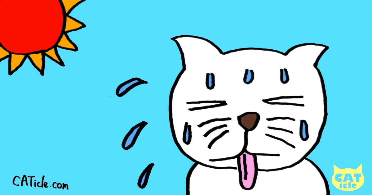 猫は暑さに弱い？夏を快適に過ごすための完全ガイド