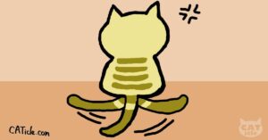 猫の気持ちがもっとわかる！信頼サインと行動学ガイド